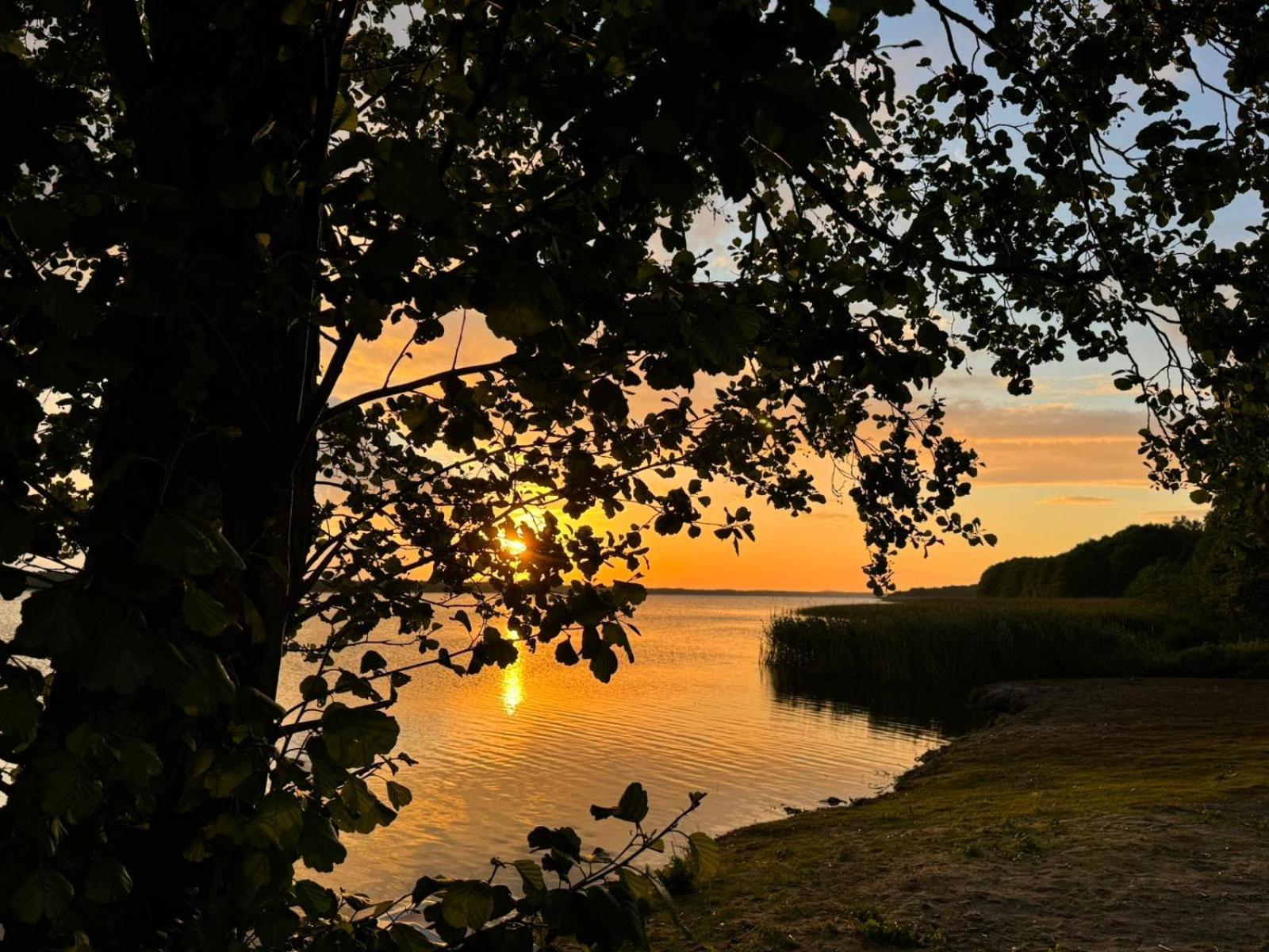Domek Leba Nowecin Dış mekan fotoğraf